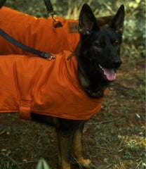 L.L.Bean& Noah Kahan Reversible Field Coat for Dogs