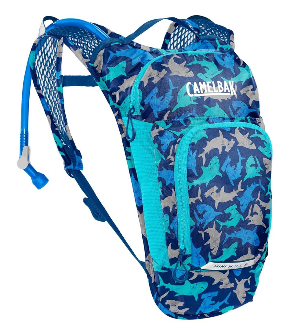 L.L.BeanKids' Camelbak Mini Mule Hydration Pack