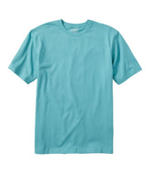L.L.BeanMen's Carefree Unshrinkable Tee, Traditional Fit Short-Sleeve