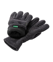 L.L.BeanMen's Windproof Gloves