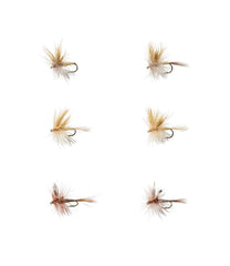 L.L.BeanUmpqua Six-Piece Mayfly Dry Fly Selection