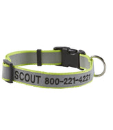 L.L.BeanPersonalized Pet Collar, Reflective