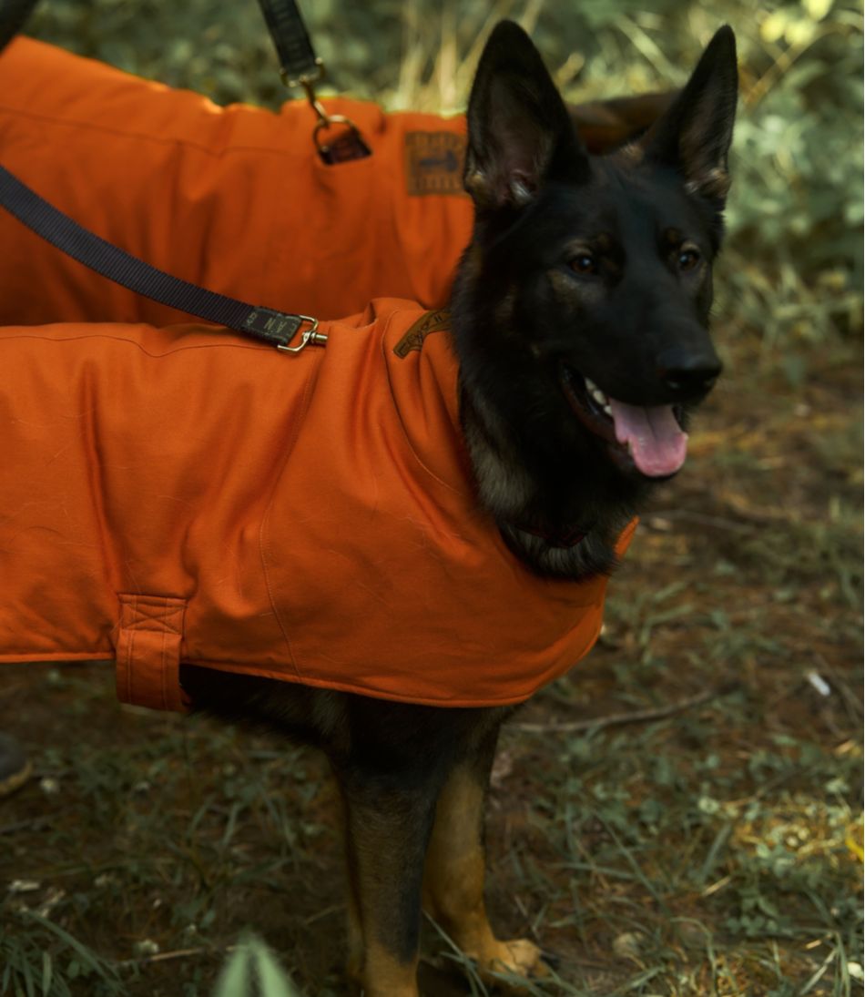 L.L.Bean& Noah Kahan Reversible Field Coat for Dogs