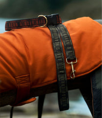 L.L.Bean& Noah Kahan Novelty Dog Leash