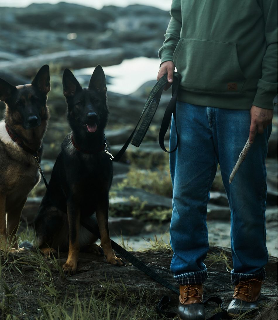 L.L.Bean& Noah Kahan Novelty Dog Leash