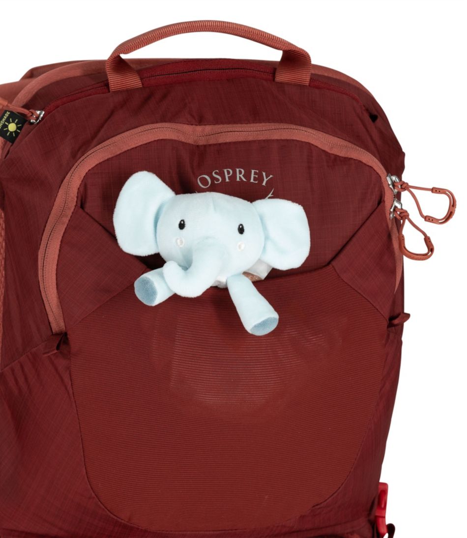 L.L.BeanOsprey Poco LT Child Carrier Backpack