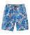 Blue Water Hibiscus