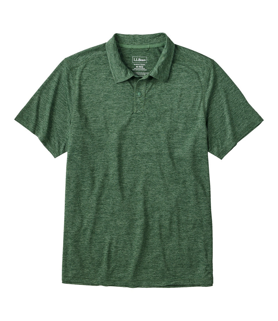 Evergreen,Small