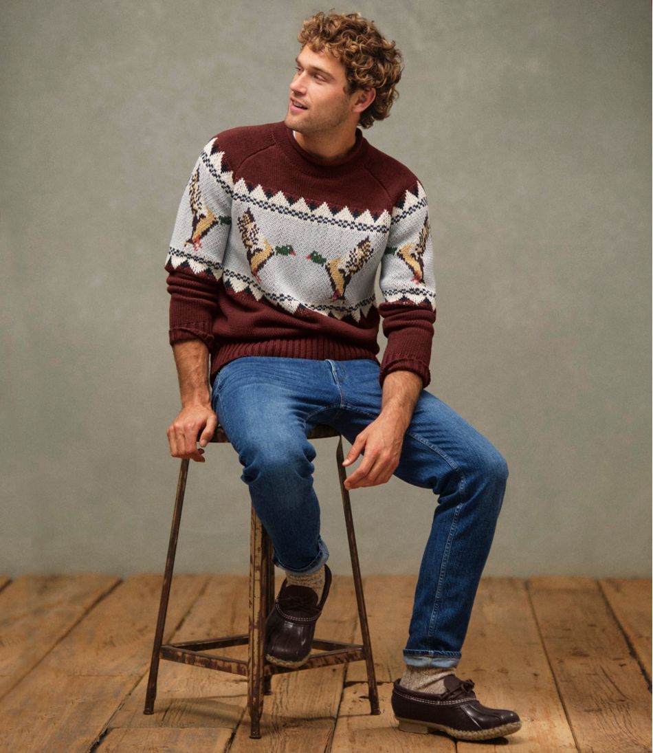 L.L.BeanMen's Signature Organic Cotton Rollneck Sweater, Fair Isle
