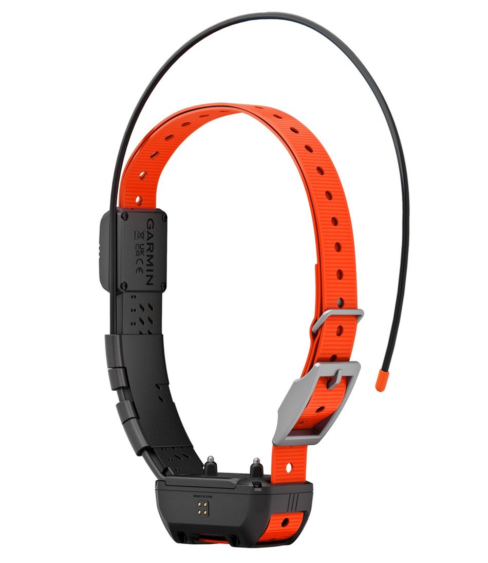 L.L.BeanGarmin Alpha TT25 Dog Collar