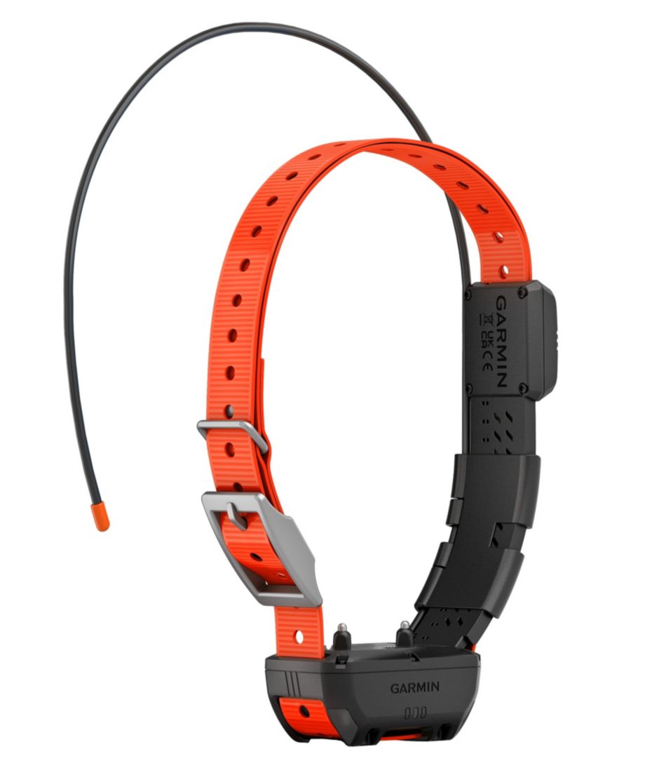 L.L.BeanGarmin Alpha TT25 Dog Collar
