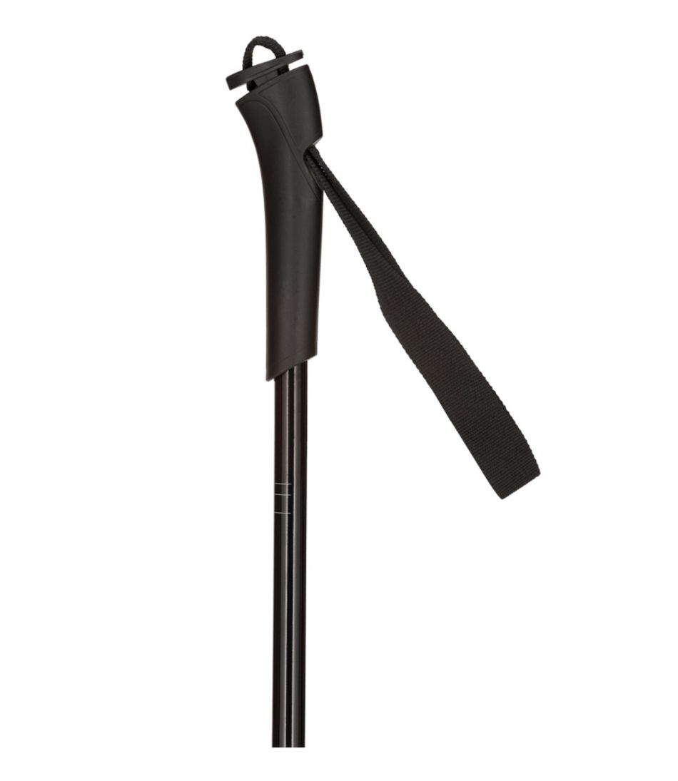 L.L.BeanRossignol FT500 Cross-Country Touring Ski Poles