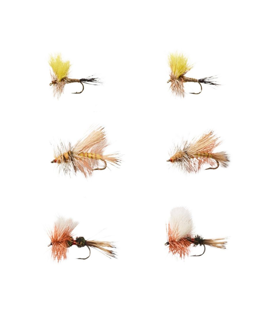 L.L.BeanUmpqua Six-Piece Pocket Water Dry Fly Selection