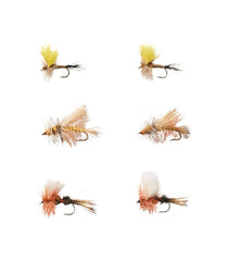 L.L.BeanUmpqua Six-Piece Pocket Water Dry Fly Selection