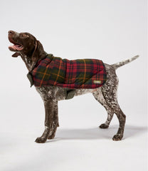 L.L.BeanReversible Field Coat for Dogs