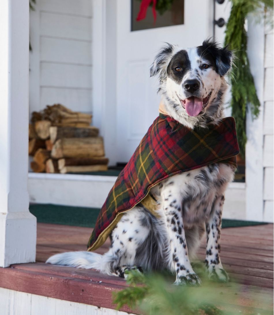 L.L.BeanReversible Field Coat for Dogs