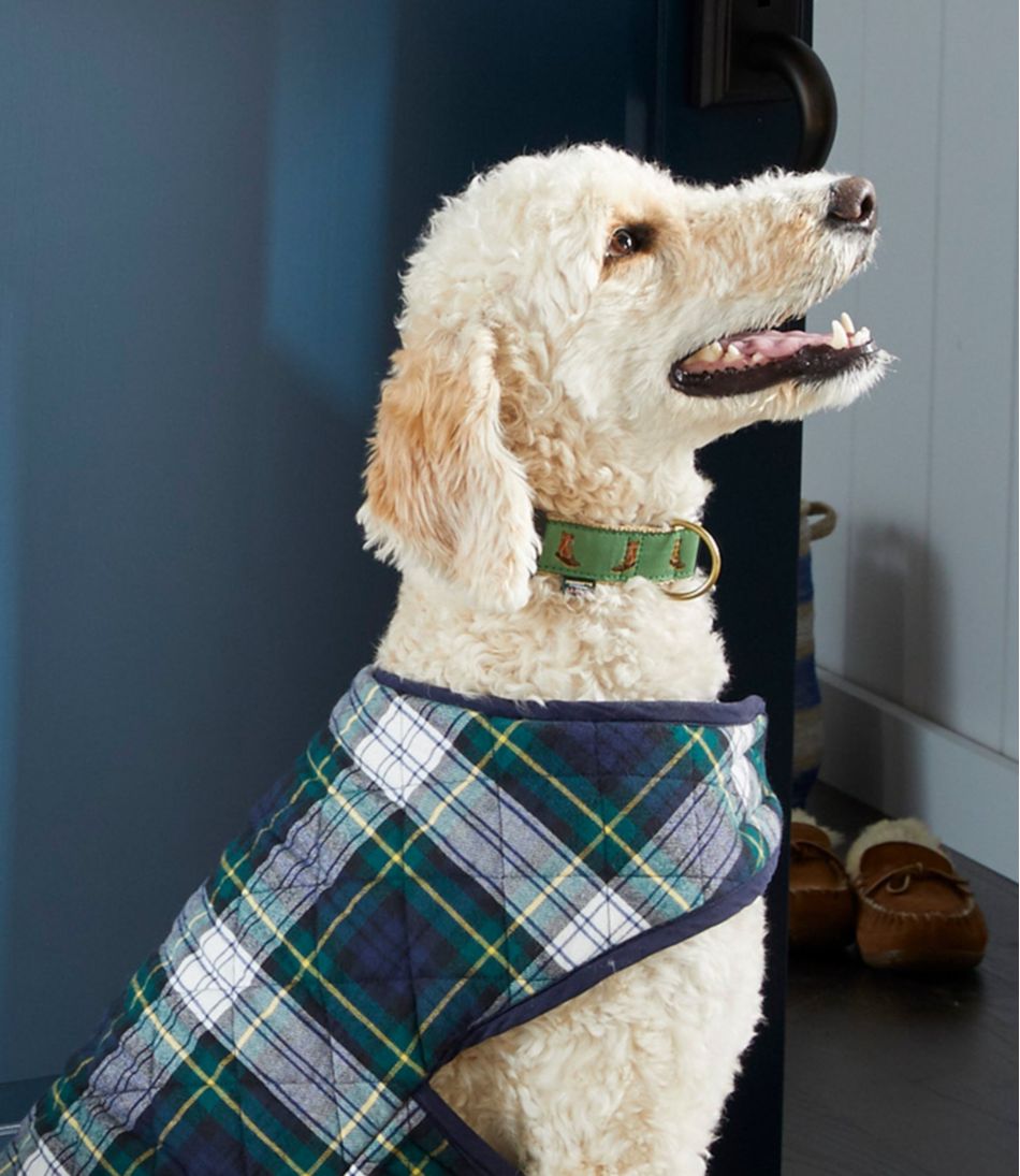 L.L.BeanNovelty Dog Collar
