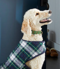 L.L.BeanNovelty Dog Collar