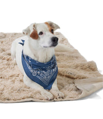 L.L.BeanPlush Cuddler Dog Blanket