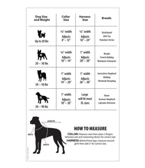 L.L.BeanPersonalized Pet Collar, Reflective