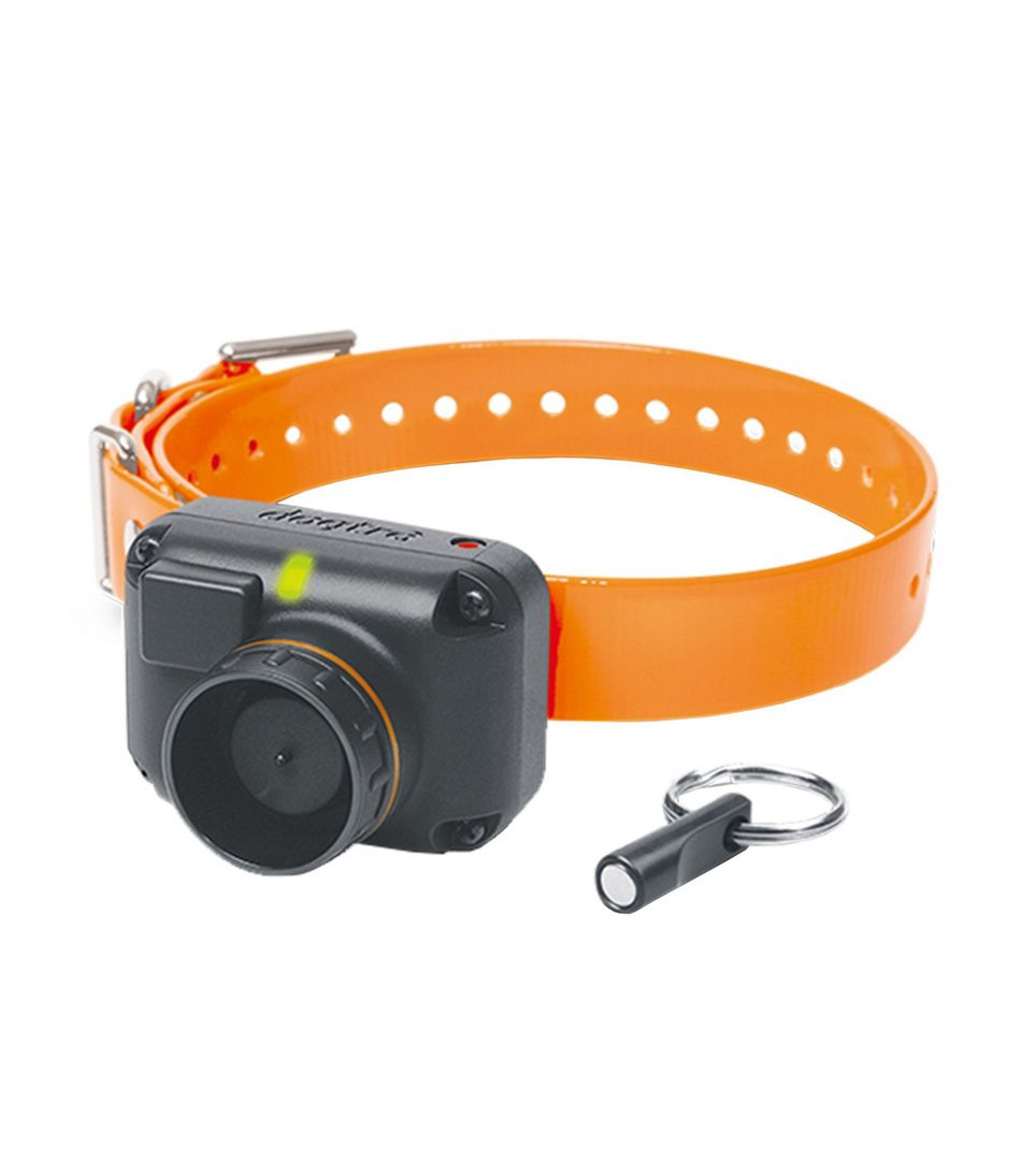 L.L.BeanDogtra STB Beeper Collar